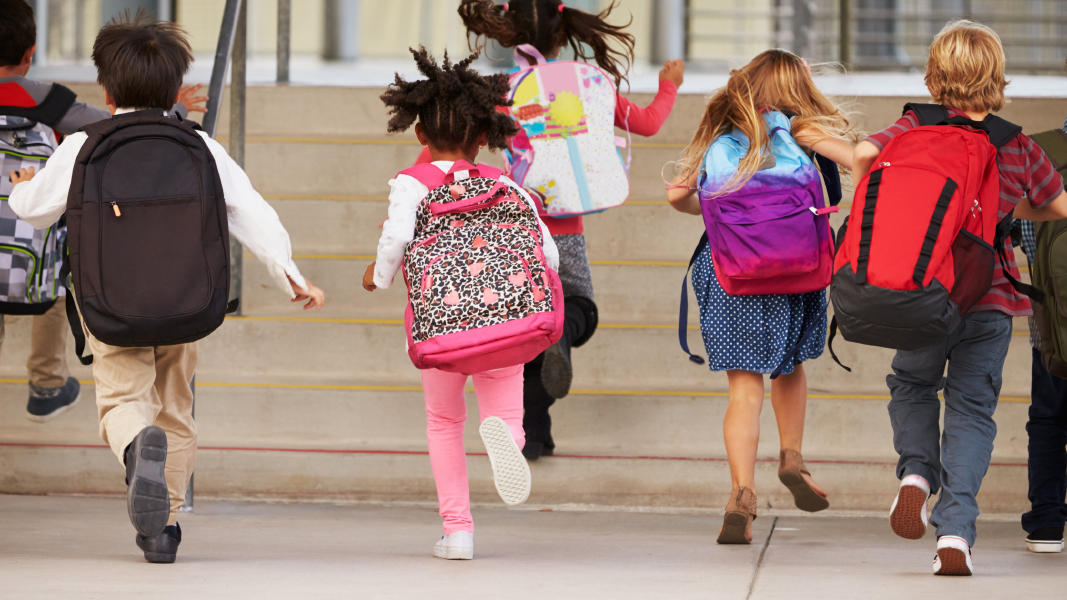 Escolarizar o desescolarizar tras la pandemía: ¿enfrentan las escuelas una crisis?