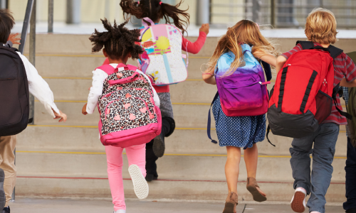 Escolarizar o desescolarizar tras la pandemía: ¿enfrentan las escuelas una crisis?